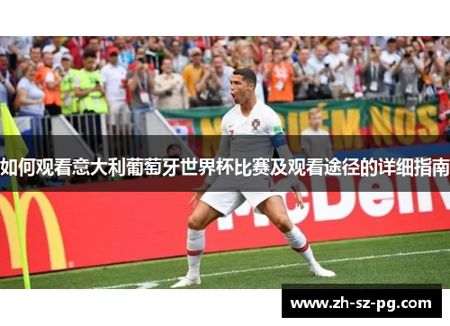 如何观看意大利葡萄牙世界杯比赛及观看途径的详细指南 如何观看意大利葡萄牙世界杯比赛及观看途径的详细指南