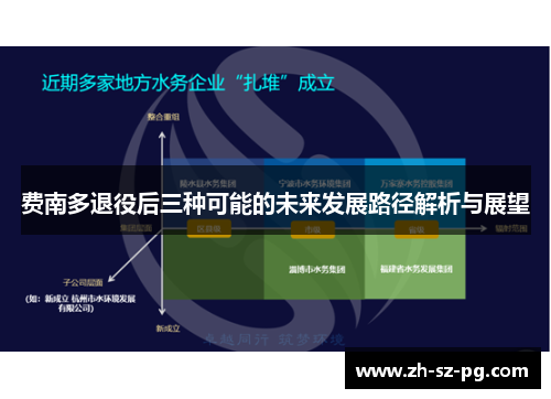 费南多退役后三种可能的未来发展路径解析与展望