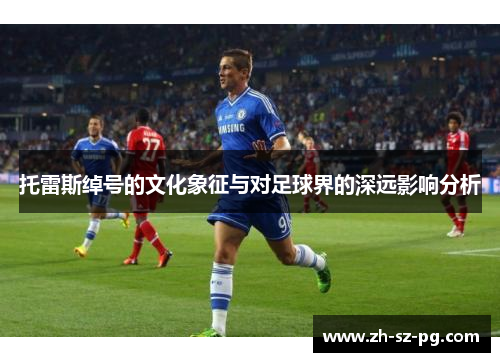 托雷斯绰号的文化象征与对足球界的深远影响分析