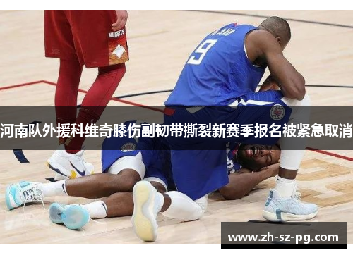 河南队外援科维奇膝伤副韧带撕裂新赛季报名被紧急取消