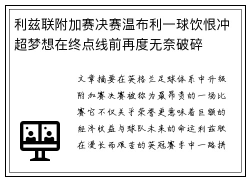 利兹联附加赛决赛温布利一球饮恨冲超梦想在终点线前再度无奈破碎 利兹联附加赛决赛温布利一球饮恨冲超梦想在终点线前再度无奈破碎